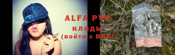 spice Баксан