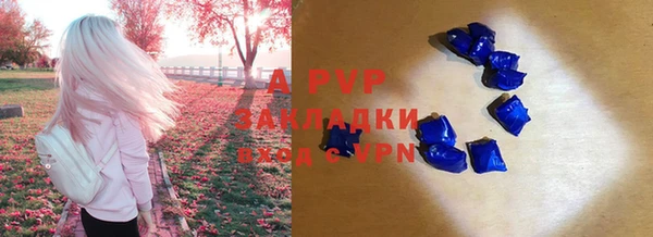 spice Баксан